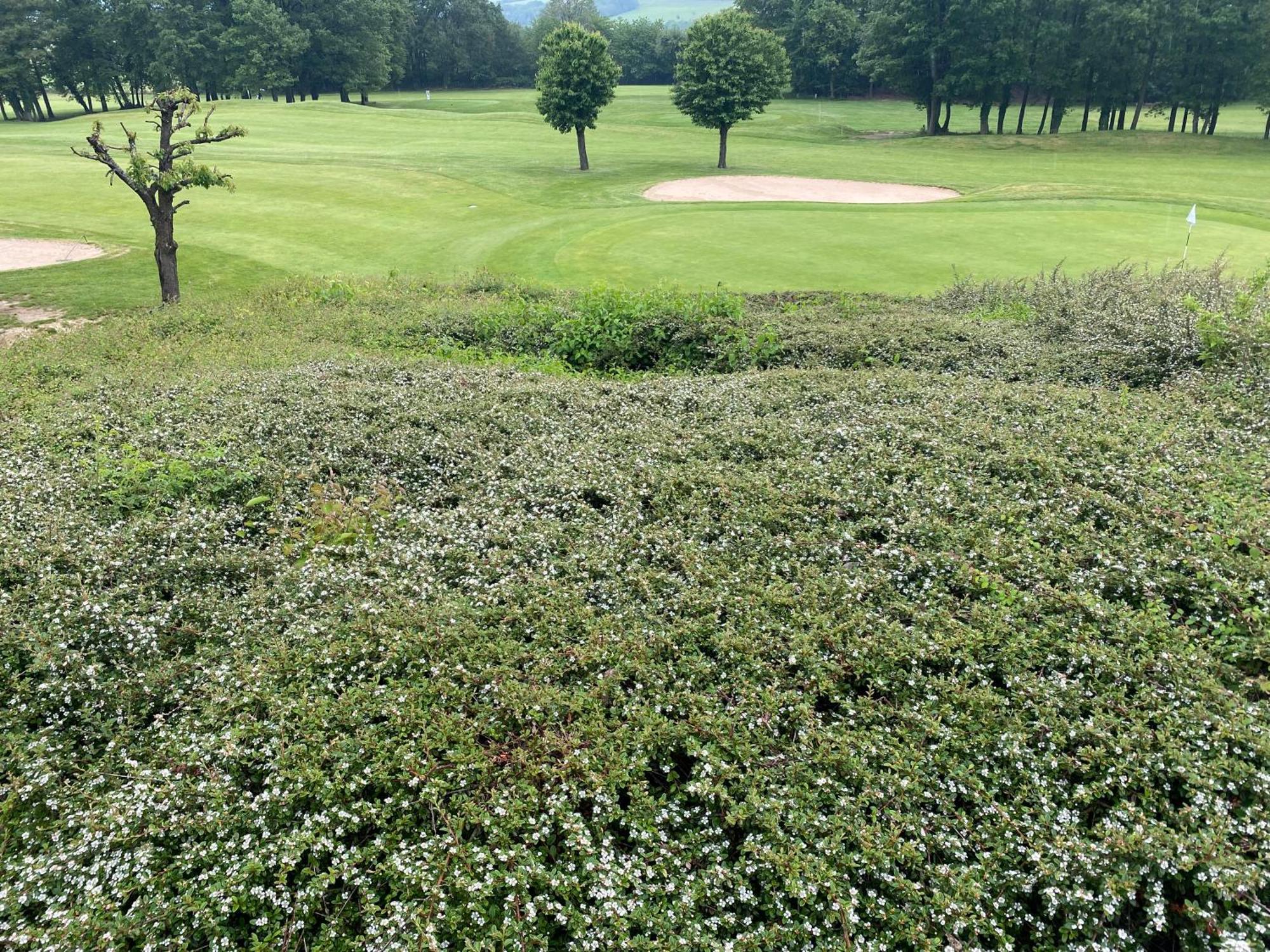 Wohnen De Lux - Direkt Am Golfplatz Stromberg (Hunsrueck)